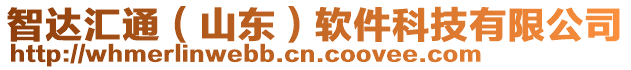 智達匯通(山東)軟件科技有限公司