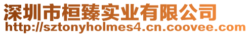 深圳市桓臻實業有限公司