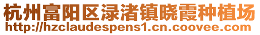 杭州富陽區淥渚鎮曉霞種植場