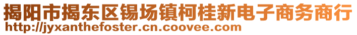 揭陽市揭東區(qū)錫場鎮(zhèn)柯桂新電子商務(wù)商行