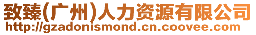 致臻(廣州)人力資源有限公司