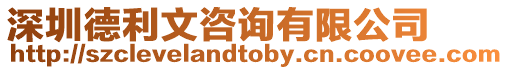 深圳德利文咨詢有限公司