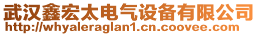武漢鑫宏太電氣設備有限公司