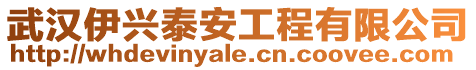 武漢伊興泰安工程有限公司