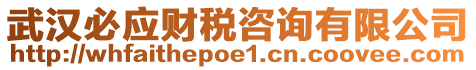 武漢必應(yīng)財(cái)稅咨詢有限公司