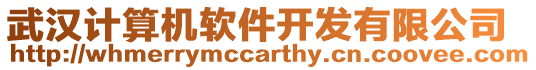 武漢計算機軟件開發(fā)有限公司