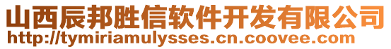 山西辰邦勝信軟件開發(fā)有限公司