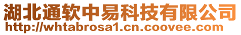 湖北通軟中易科技有限公司