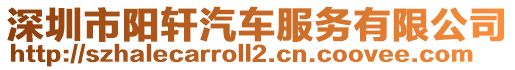 深圳市陽軒汽車服務有限公司