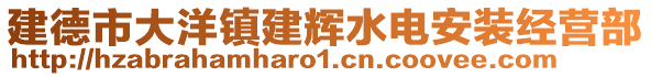 建德市大洋鎮(zhèn)建輝水電安裝經(jīng)營部