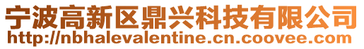 寧波高新區(qū)鼎興科技有限公司
