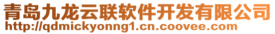 青島九龍?jiān)坡?lián)軟件開(kāi)發(fā)有限公司