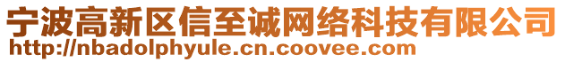 寧波高新區(qū)信至誠(chéng)網(wǎng)絡(luò)科技有限公司