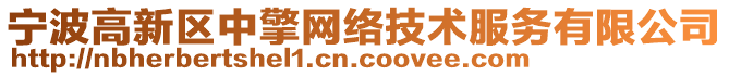 寧波高新區(qū)中擎網(wǎng)絡(luò)技術(shù)服務(wù)有限公司