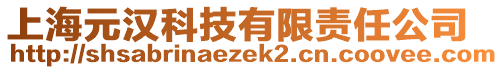 上海元漢科技有限責(zé)任公司