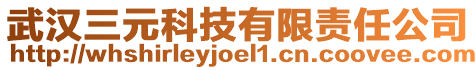 武漢三元科技有限責任公司