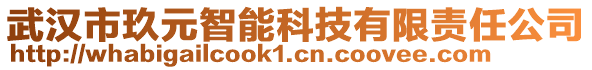 武漢市玖元智能科技有限責(zé)任公司