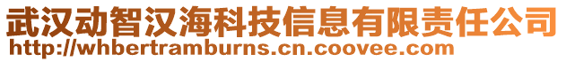 武漢動智漢?？萍夹畔⒂邢挢?zé)任公司