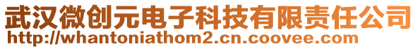 武漢微創(chuàng)元電子科技有限責任公司