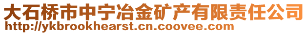 大石桥市中宁冶金矿产有限责任公司