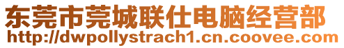 東莞市莞城聯(lián)仕電腦經(jīng)營(yíng)部