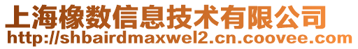 上海橡数信息技术有限公司