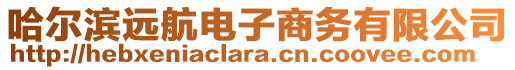 哈爾濱遠(yuǎn)航電子商務(wù)有限公司