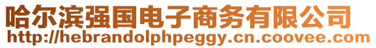 哈爾濱強(qiáng)國(guó)電子商務(wù)有限公司