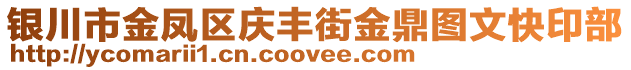 银川市金凤区庆丰街金鼎图文快印部