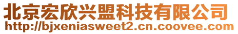北京宏欣興盟科技有限公司