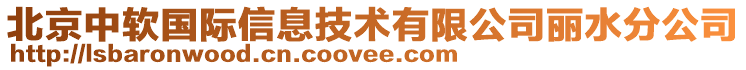 北京中软国际信息技术有限公司丽水分公司