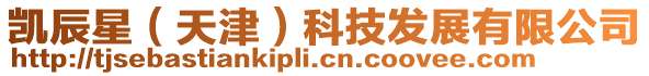 凱辰星（天津）科技發展有限公司