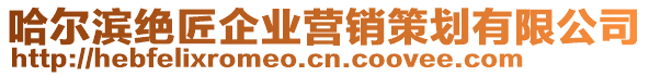 哈爾濱絕匠企業(yè)營銷策劃有限公司