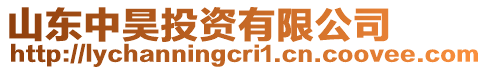 山東中昊投資有限公司