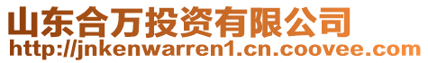 山東合萬投資有限公司