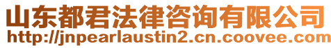 山東都君法律咨詢有限公司