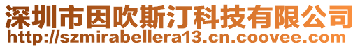 深圳市因吹斯汀科技有限公司