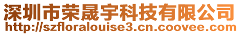 深圳市榮晟宇科技有限公司