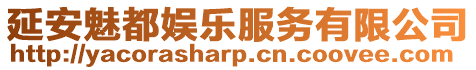 延安魅都娛樂服務有限公司