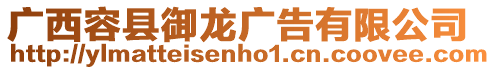 廣西容縣御龍廣告有限公司