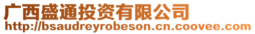 廣西盛通投資有限公司