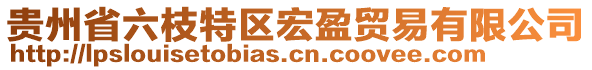 貴州省六枝特區(qū)宏盈貿(mào)易有限公司