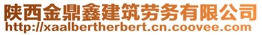 陜西金鼎鑫建筑勞務(wù)有限公司