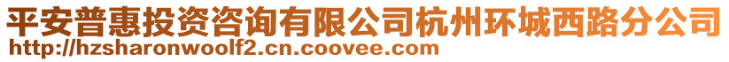 平安普惠投資咨詢有限公司杭州環城西路分公司