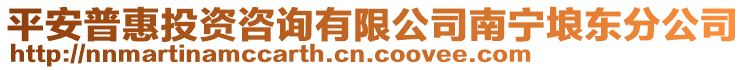 平安普惠投資咨詢有限公司南寧埌東分公司