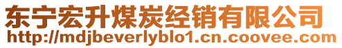 東寧宏升煤炭經(jīng)銷有限公司