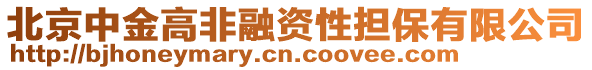 北京中金高非融資性擔保有限公司