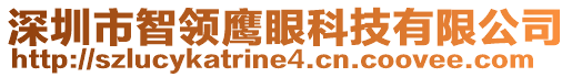 深圳市智領鷹眼科技有限公司