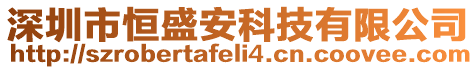深圳市恒盛安科技有限公司