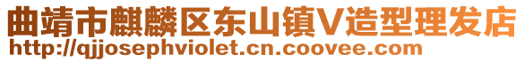 曲靖市麒麟?yún)^(qū)東山鎮(zhèn)V造型理發(fā)店